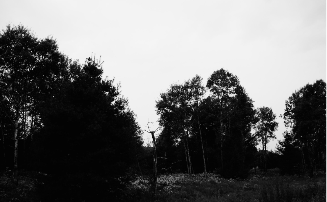 Alexandra Watson: I Found You Nearly Drowned