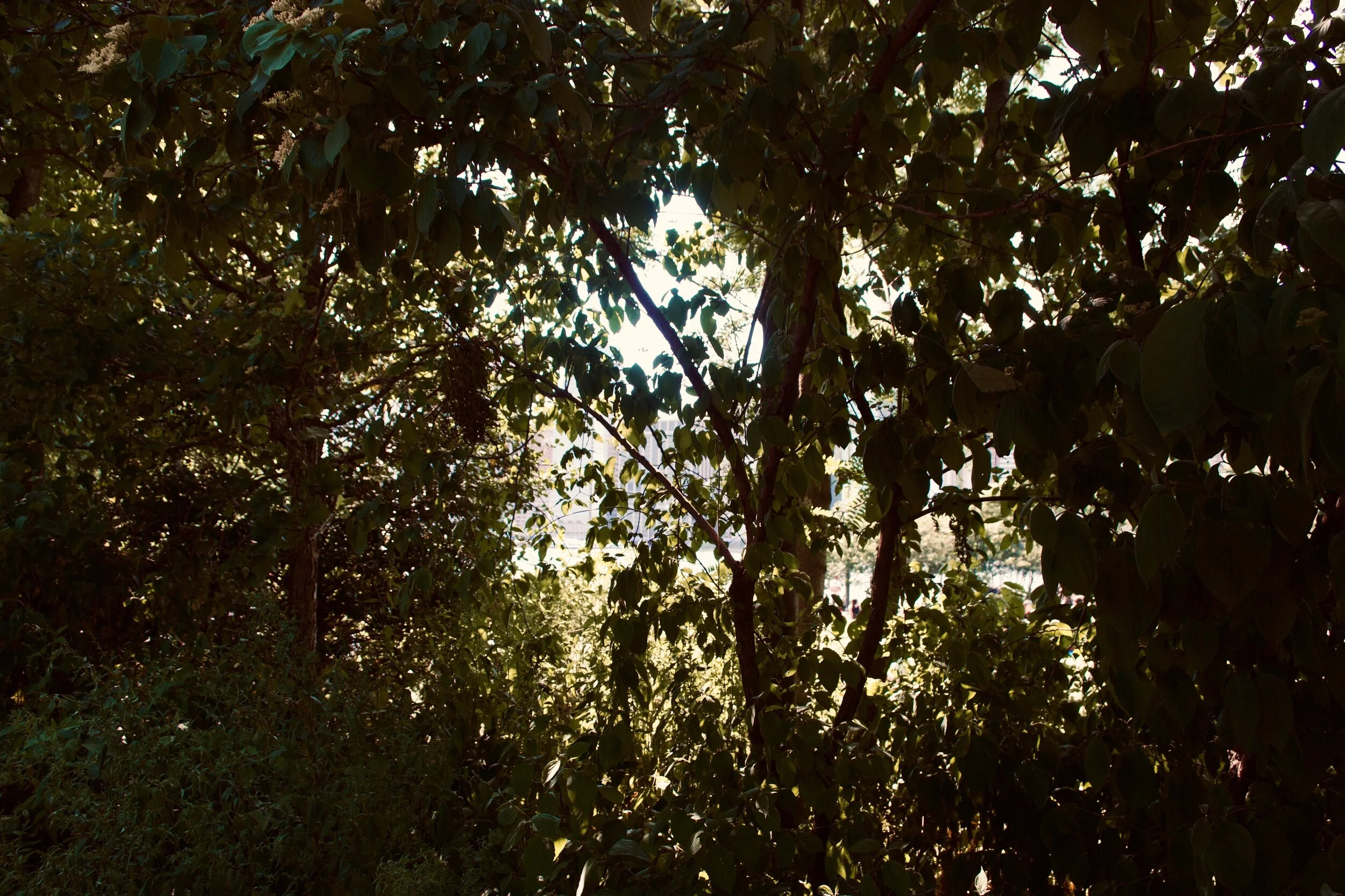 Imran Boe Khan: July 2020 Poet of the Month