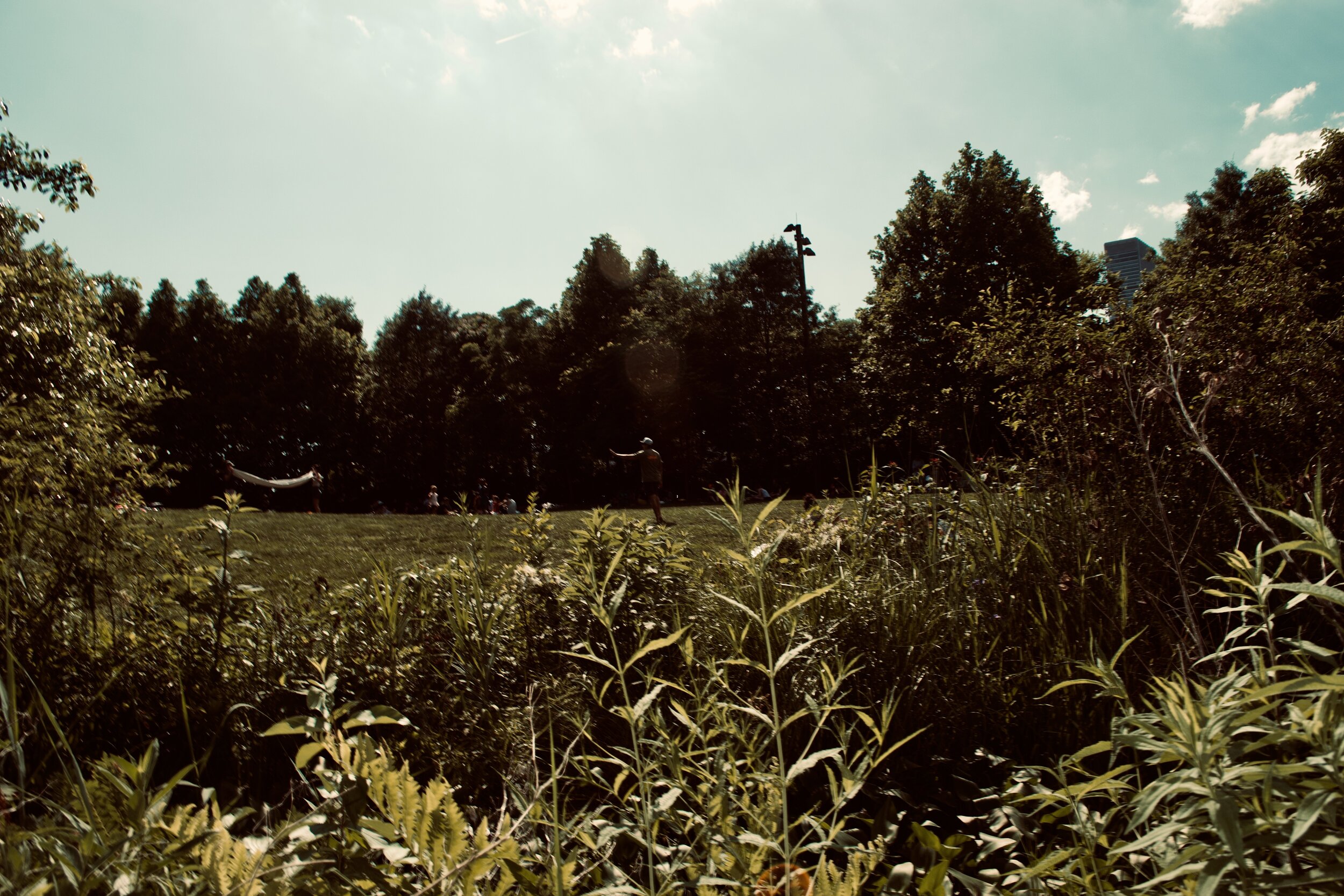 Jackie Sizemore: Yes, That Monet