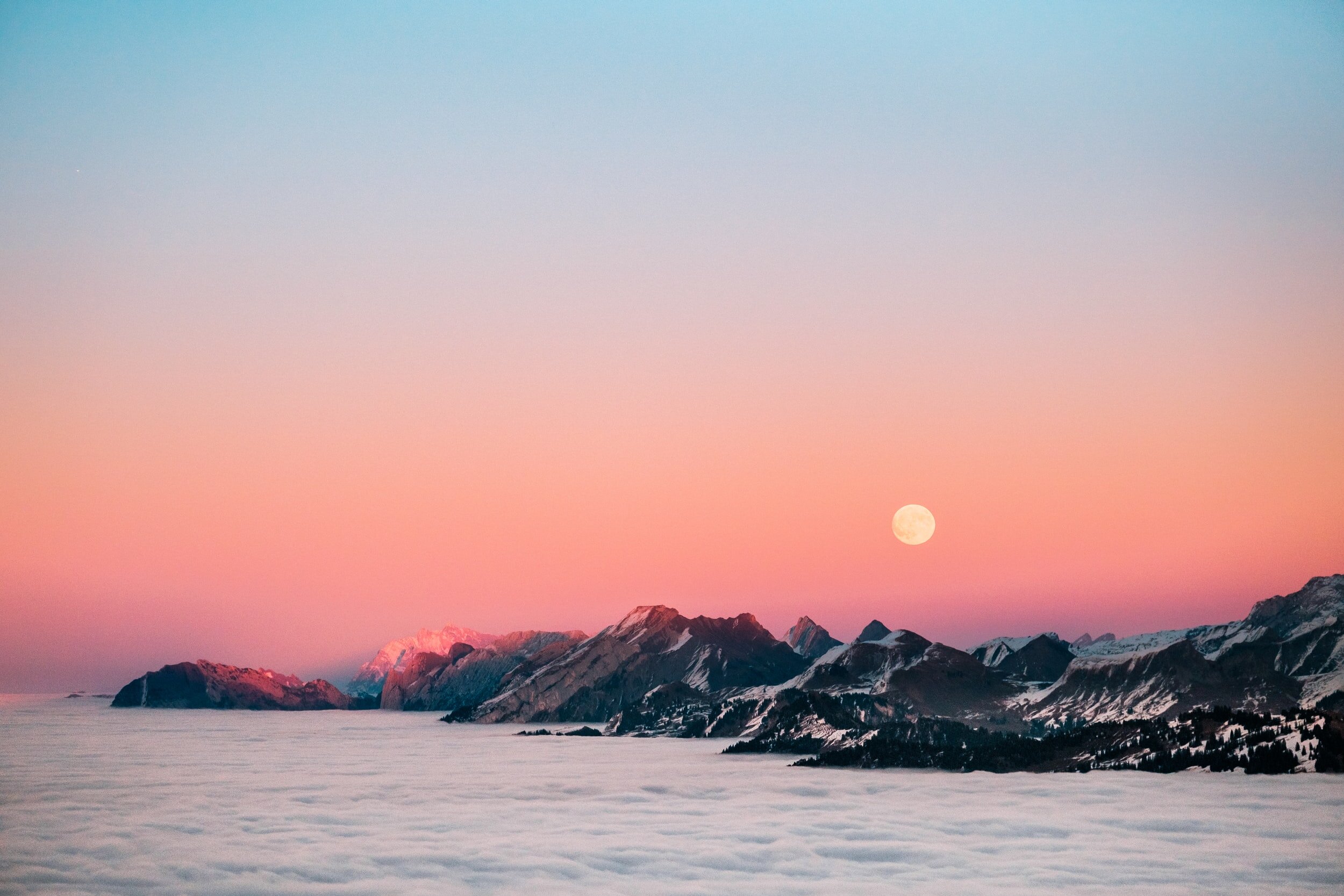 Music Friyay: Summer Playlist 