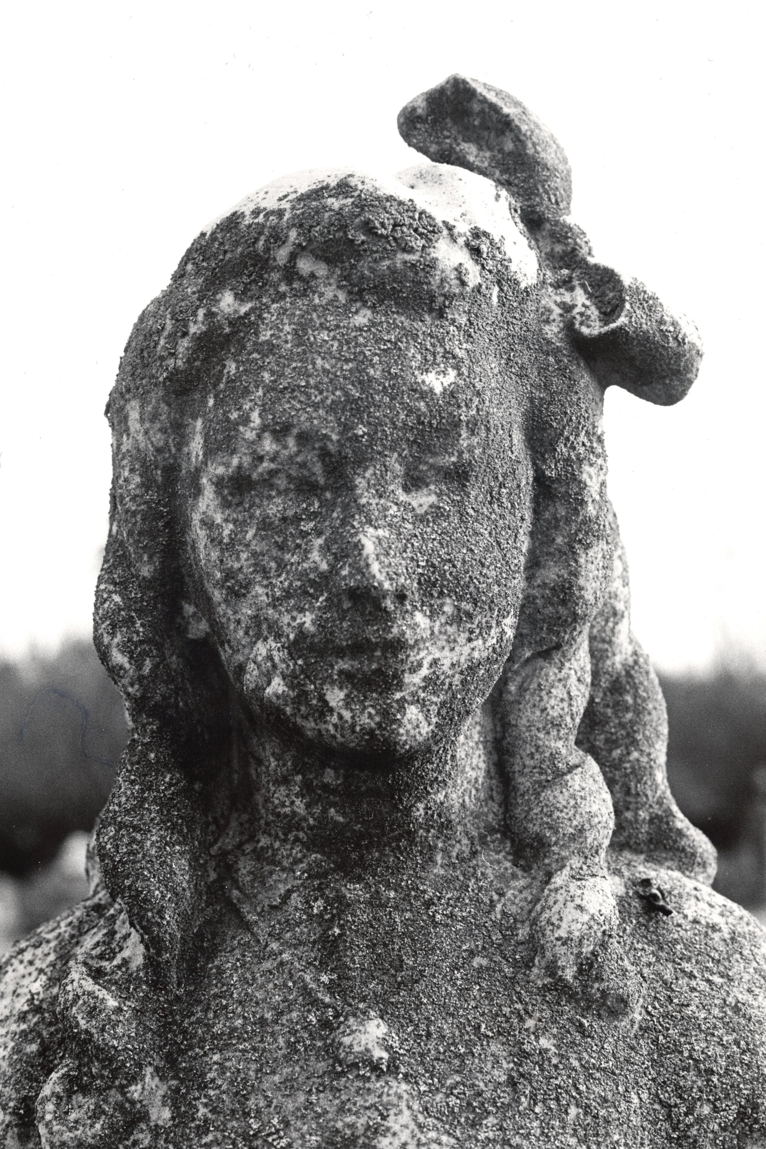 Mark Lamoureux: Wounded Angels