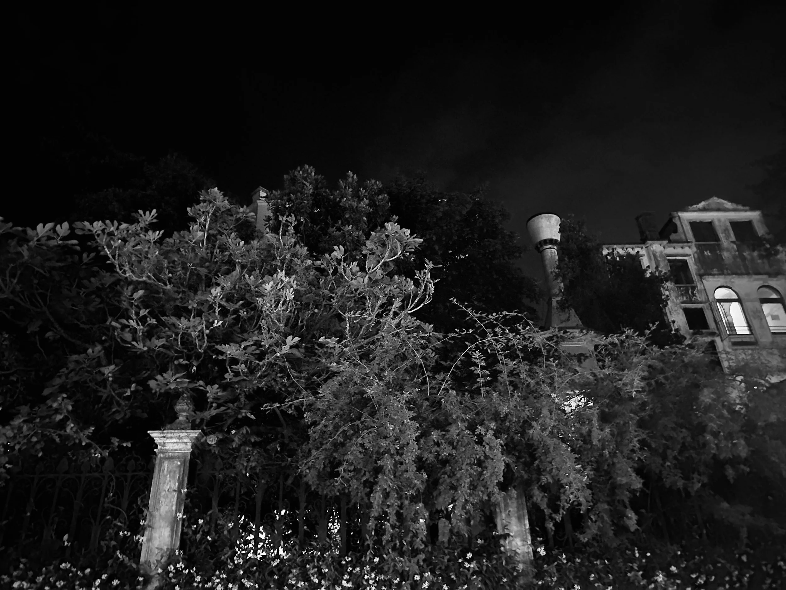 George Fragopoulos: Essay on Finitude 