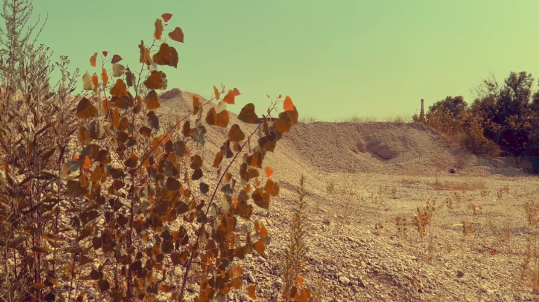 Meghan Lamb: An Amalgam of Empty Lot Residencies