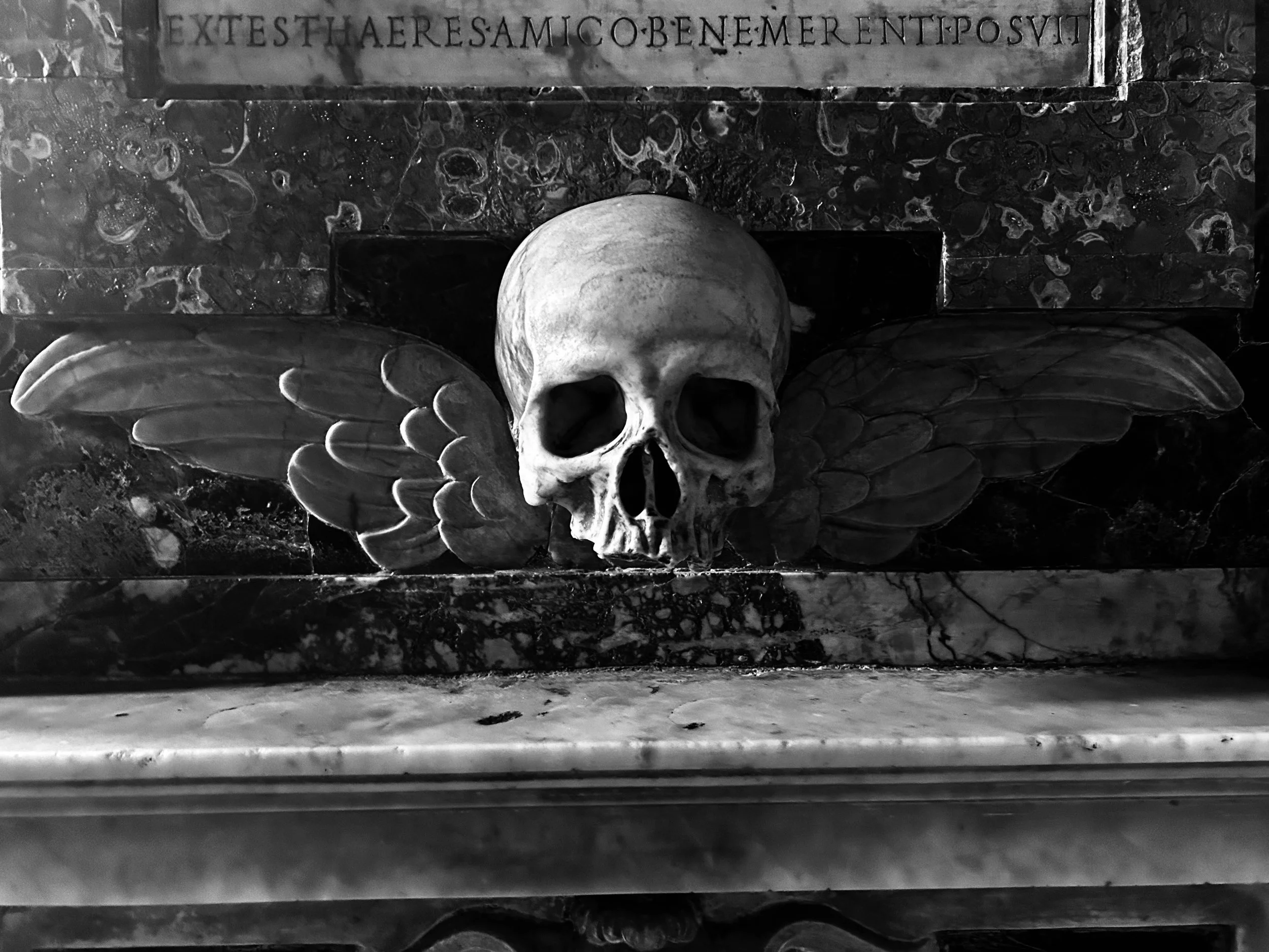 Peter Soucy: Four Micro Essays on Cinema