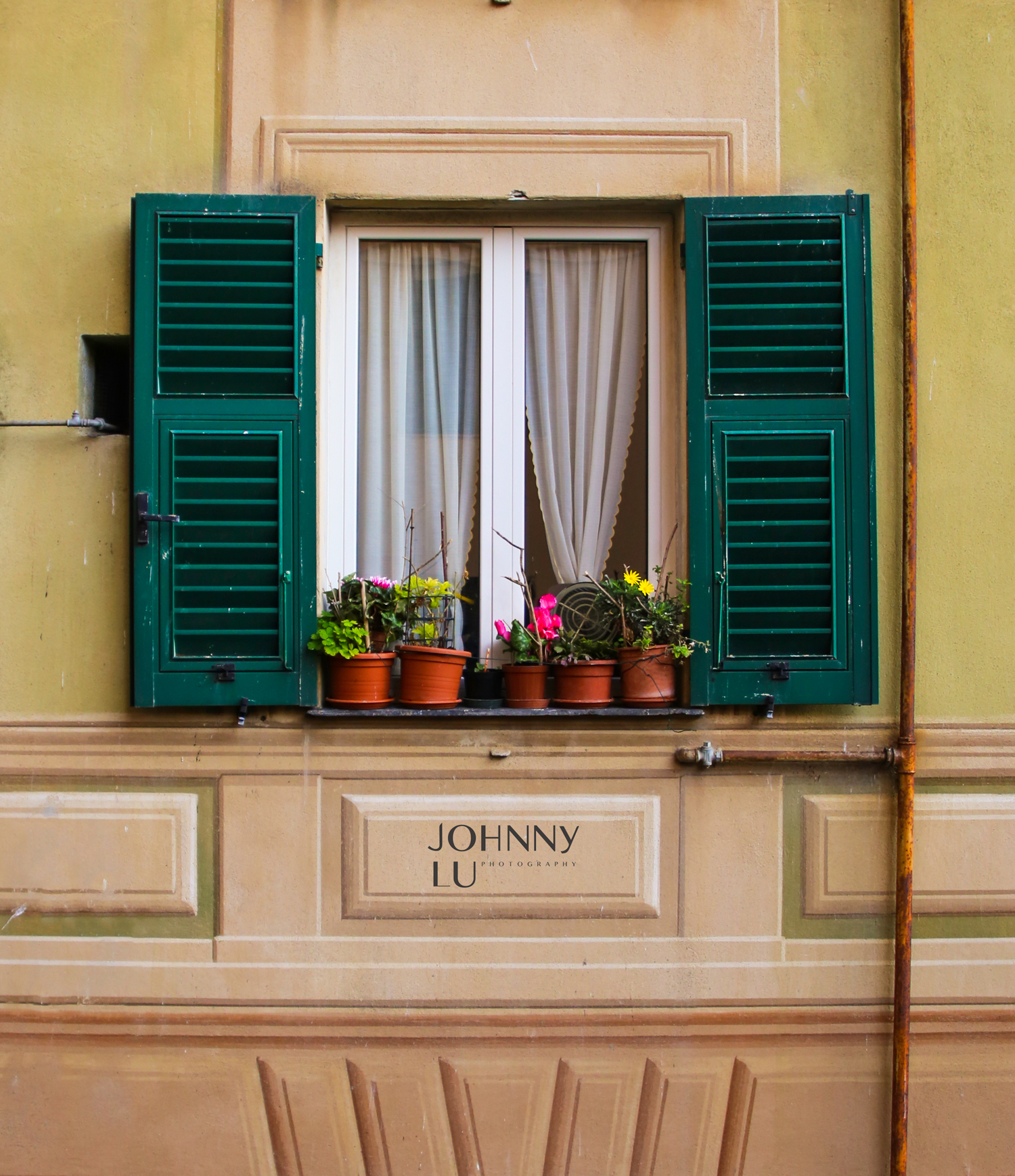 Italy- Camogli