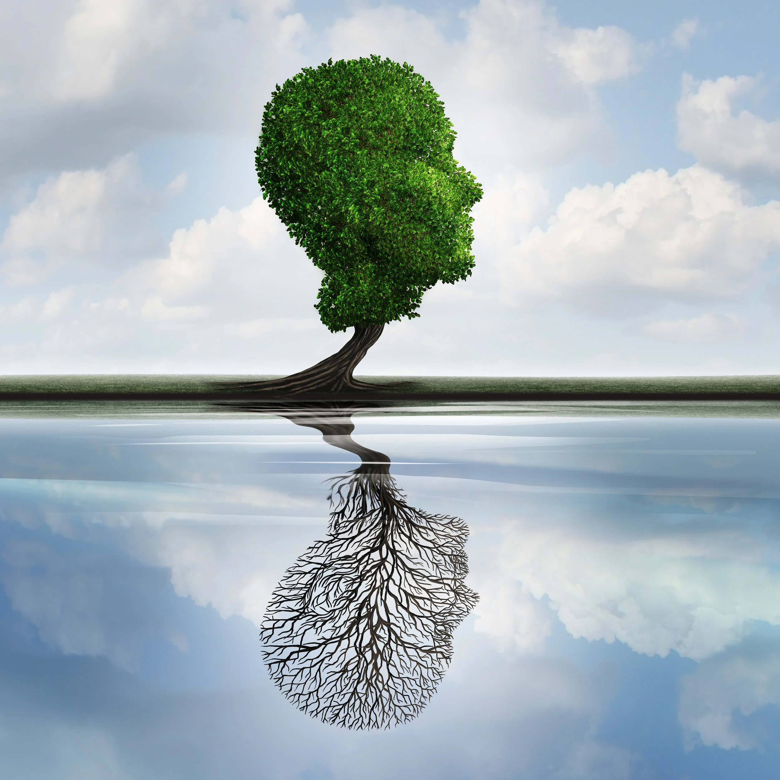 Media Resources for Times of Need