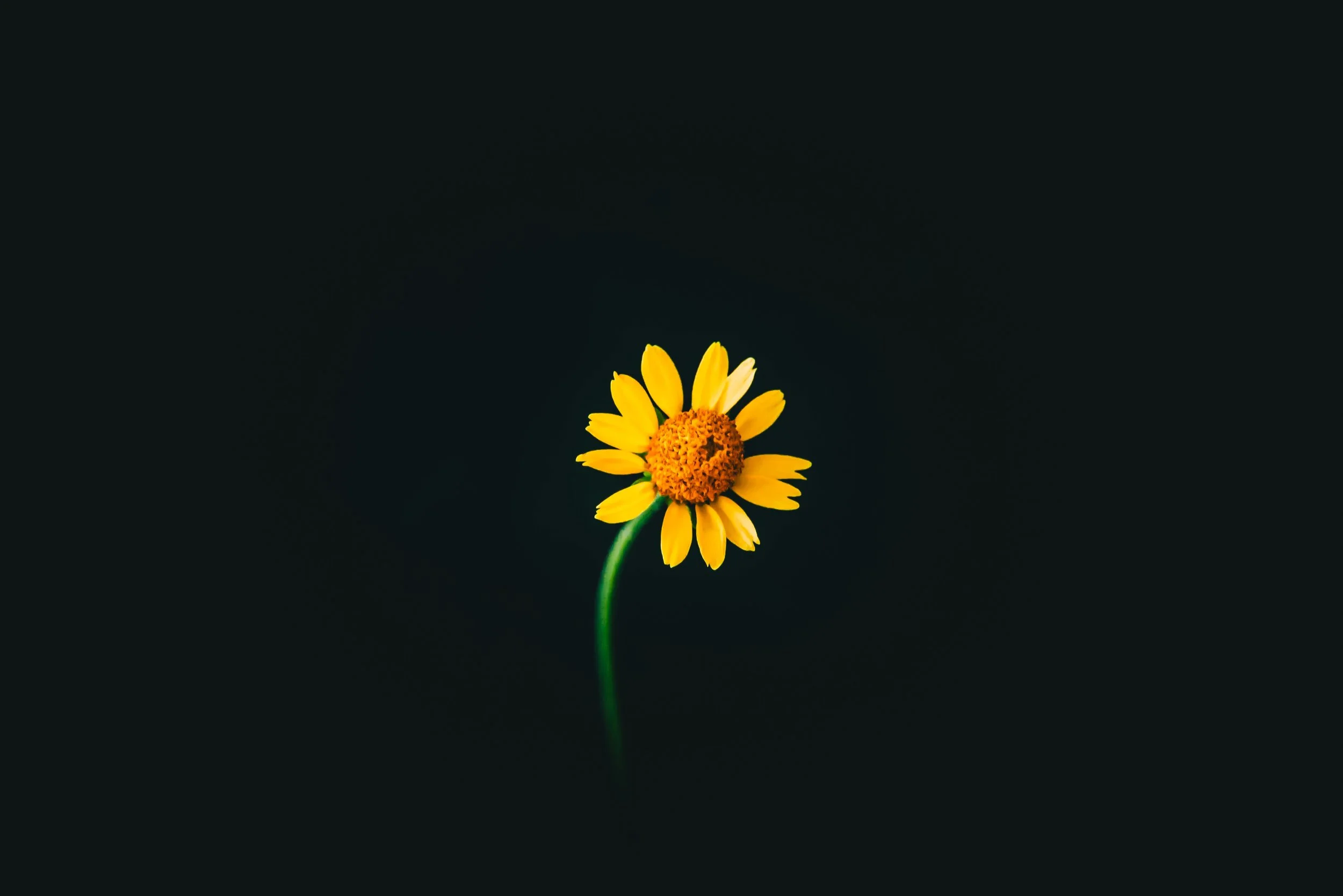 Carry Me Through: Hospitalization for Mental Illness