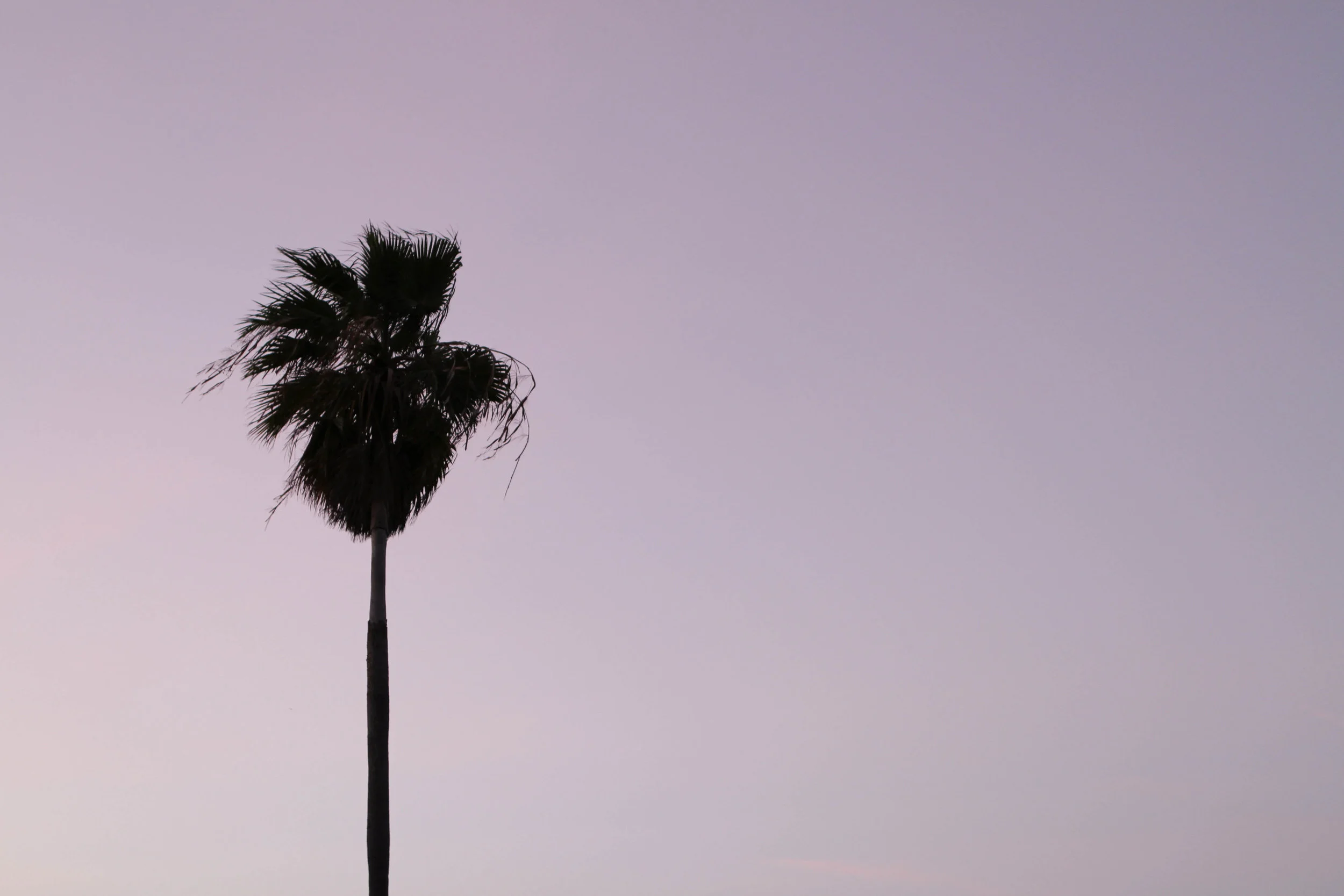 beach colors-2.jpg