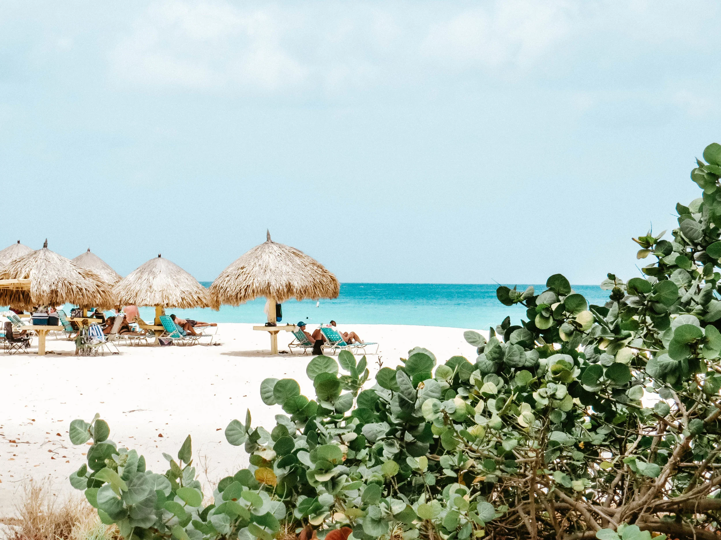 aruba 2019-214.jpg