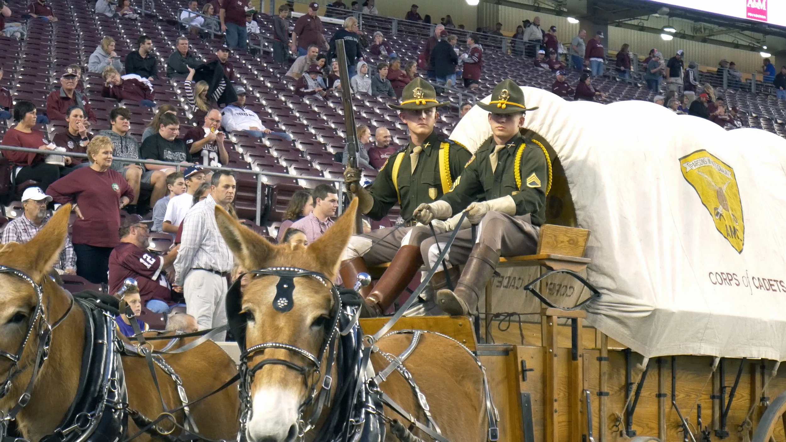 A&M lsu 3.jpg