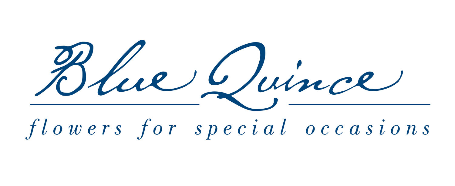 Blue Quince logo, 2010