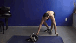 Source: gify.com