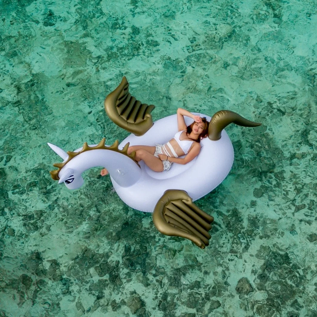 If you can find someone who can do back-end, front-end, HTML5, CSS, PHP, Ruby, eLearning, SCORM, xAPI, and corporate training strategy then most likely you will find her camped out on an inflatable unicorn just like the woman in this picture. No one has these all skills, these people don't exist, which is why we call them unicorns. Photo courtesy of Ishan @seefromthesky on Unsplash