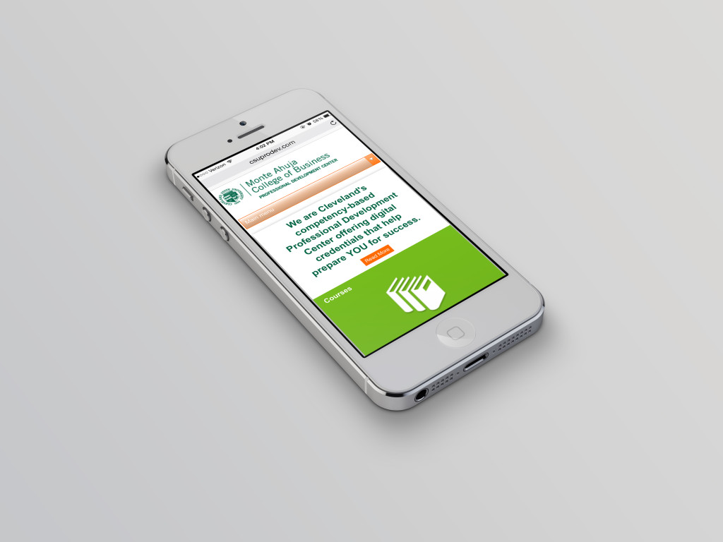 CSUMobileMockUp-1024x768.jpg