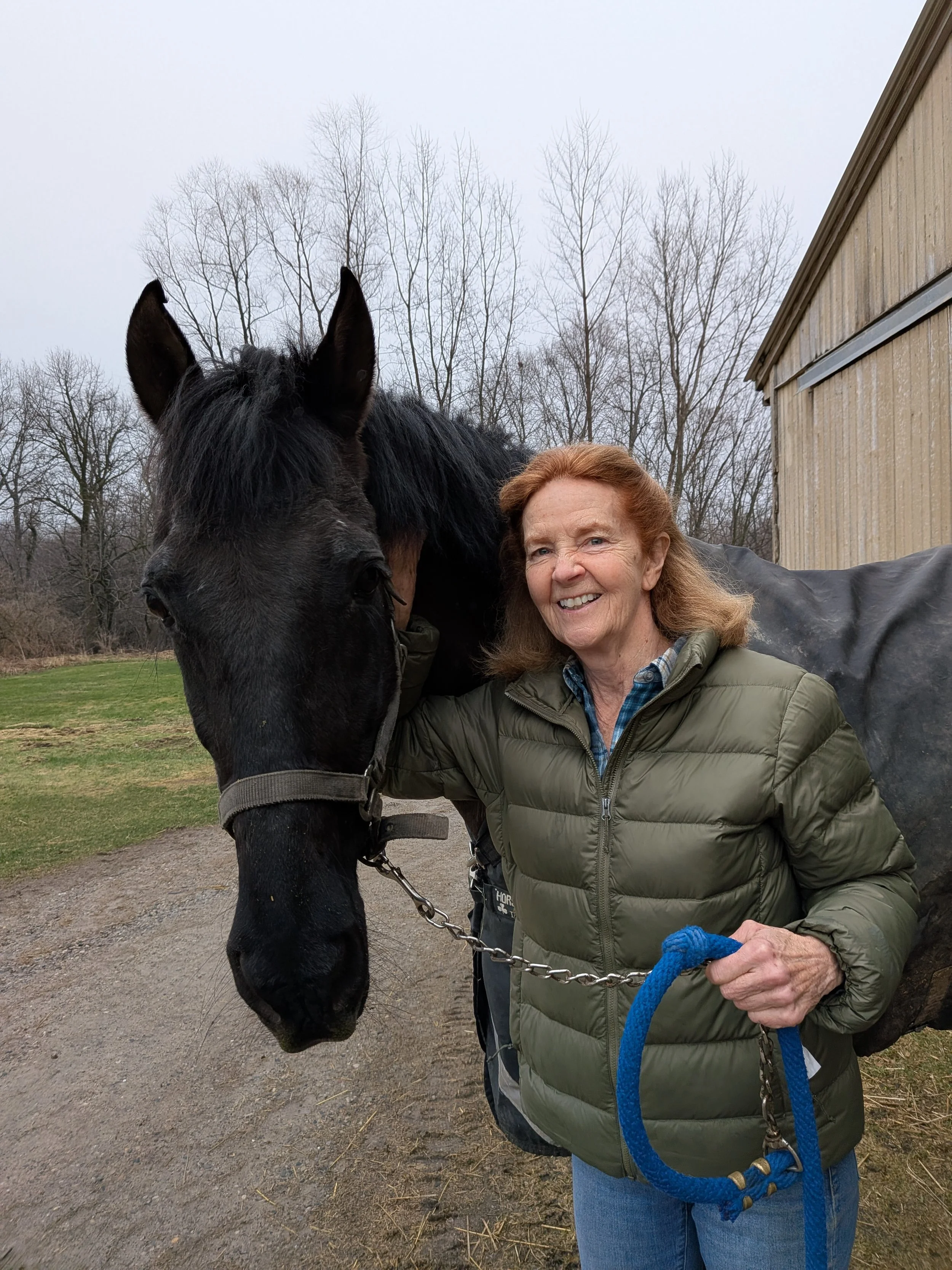 Anne Doyle - Board Member | Anne Doyle Leadership