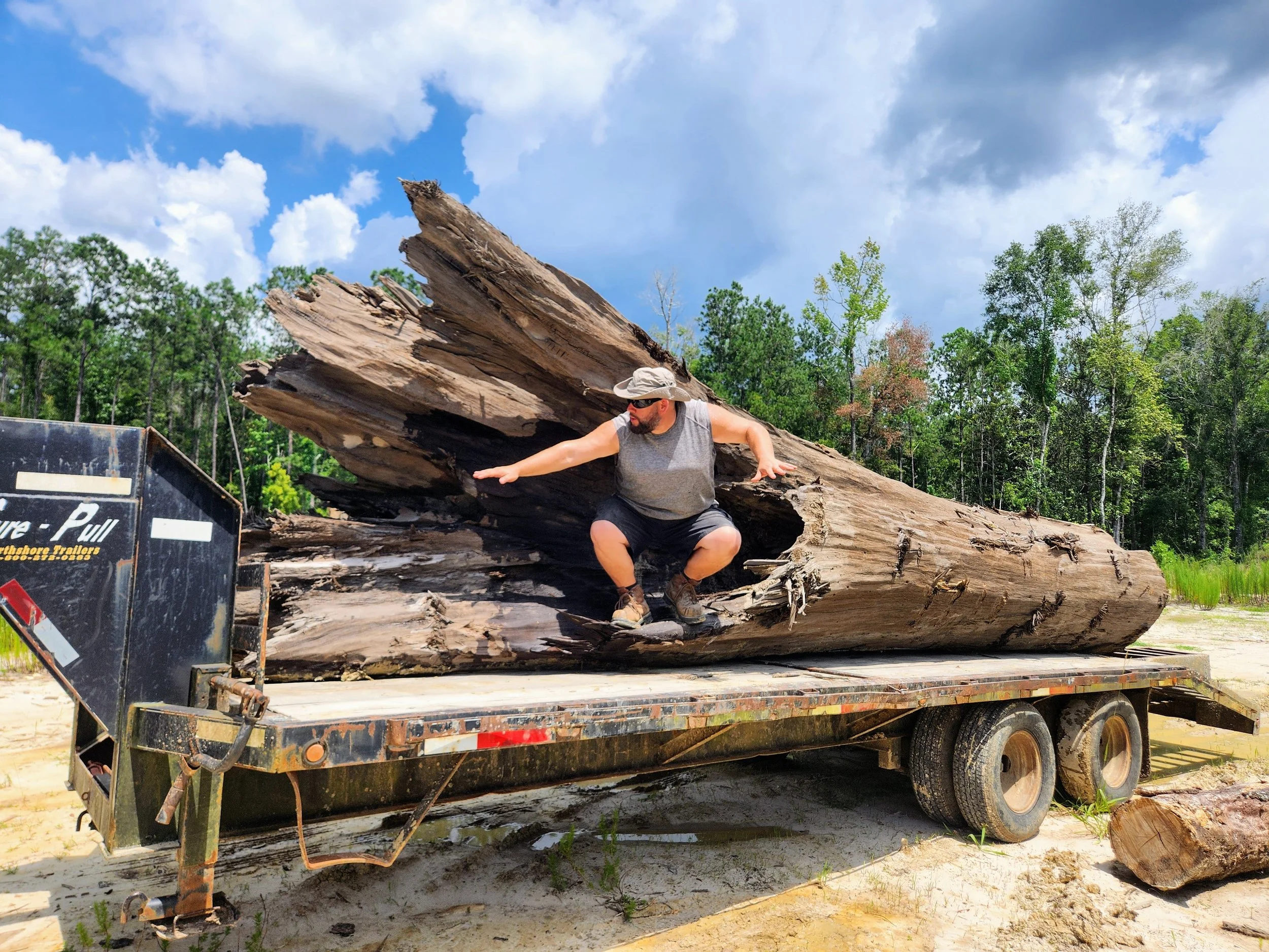 Big Sinker Cypress Log