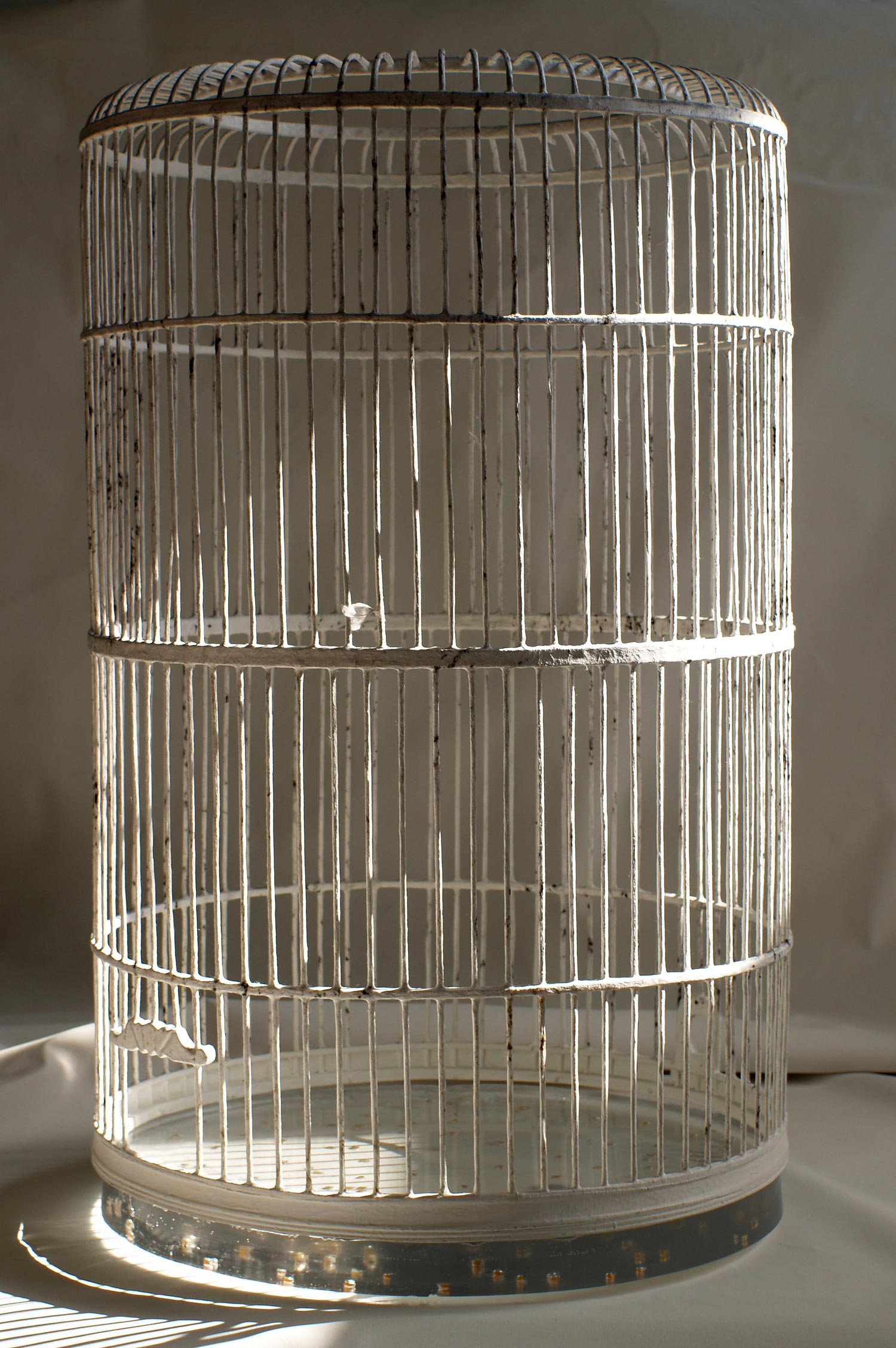 Birdcage without roof #1 2010 Wood, washi paper, charcoal, resin, dried corn 21" x 20.5" x 35"
