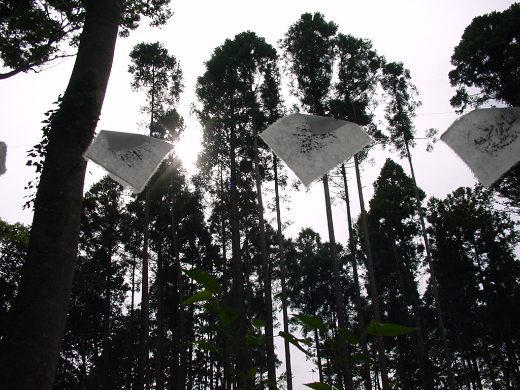 Installation in the forest, Ryugasaki, Japan 2000