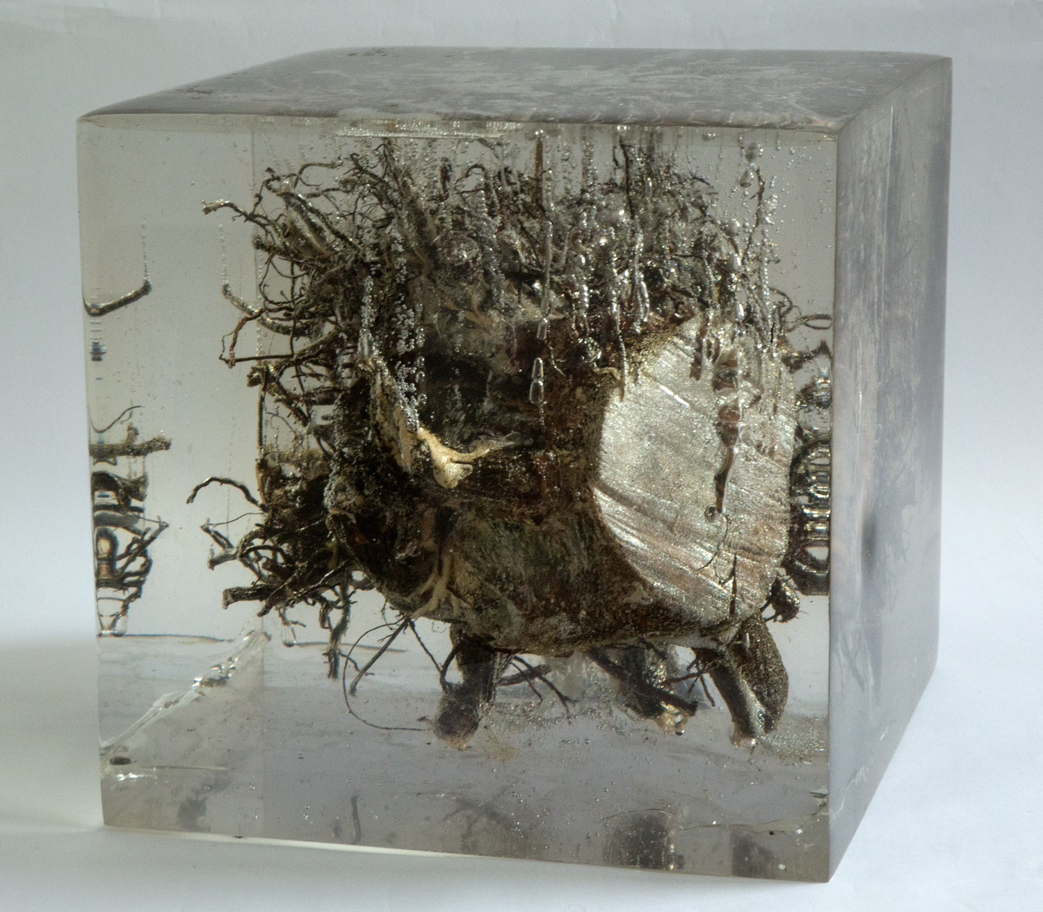 Cityroot#2 2006 Root, brick, metal. glass, resin 13.75" x 13.75" x 13.5"