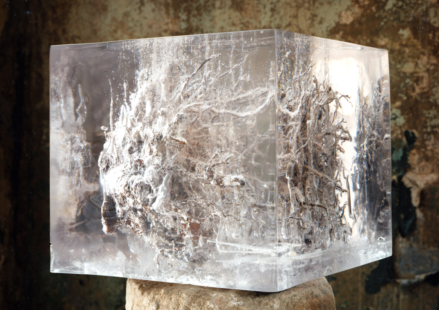 Cityroot#1 2006 Root, brick, metal. glass, resin 13.75" x 13.75" x 13"