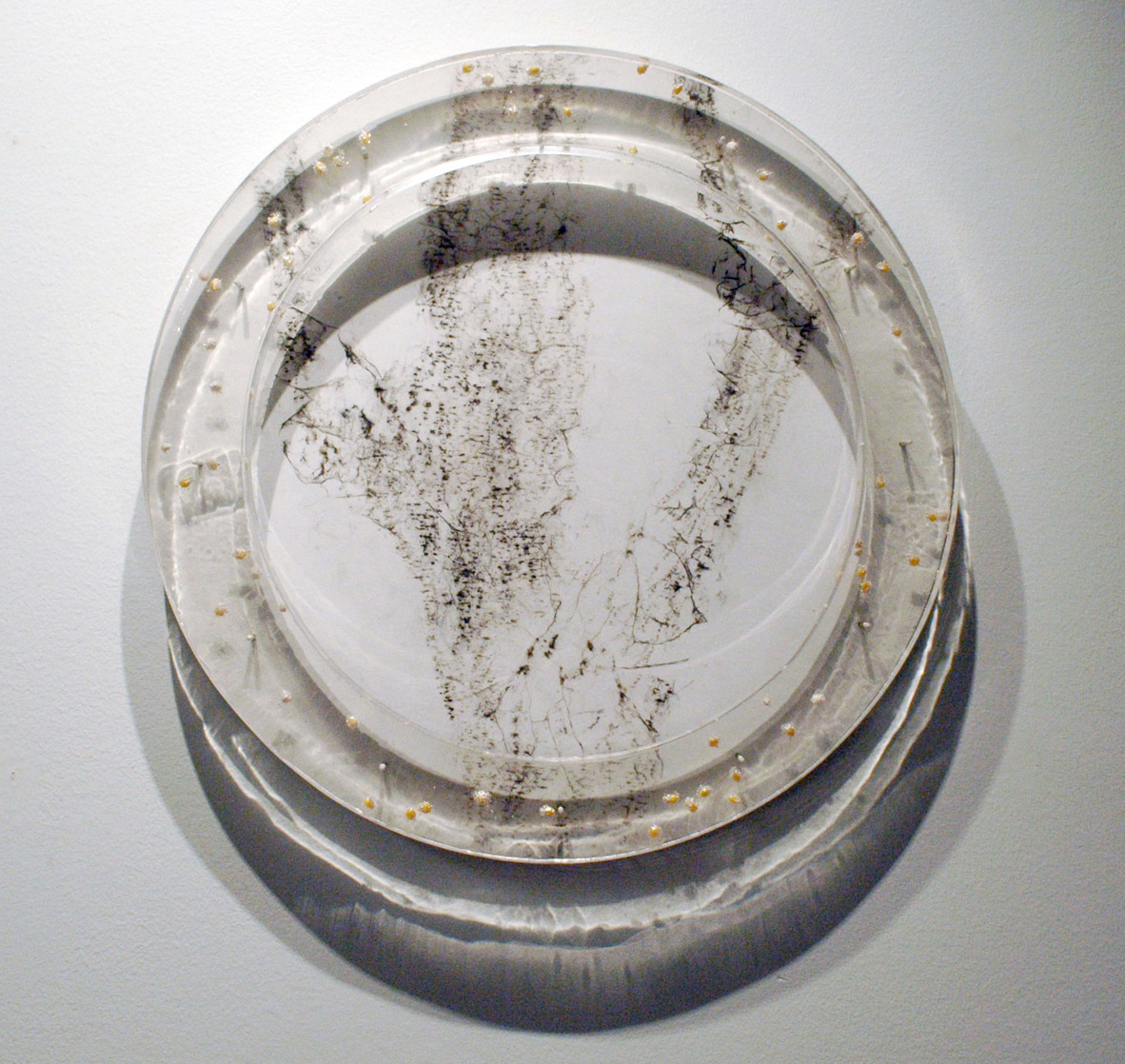 Tree Rubbing S1 Philadelphia 2009 washi, Charcoal, Japanese rice, Resin, panel 21” (diameter) x 2”
