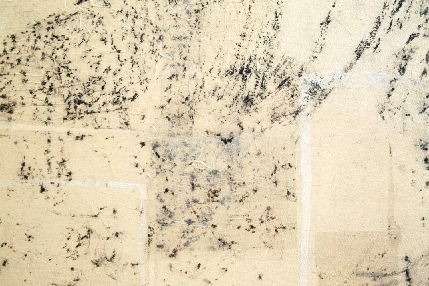 Tree Rubbing (Detail) Charcoal, oil pastel, shell powder, washi on canvas, 2003