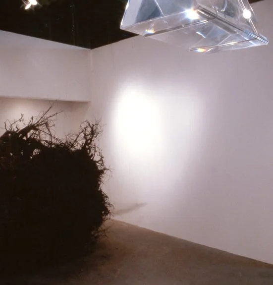 Exhibition: IMAGINA at Project Room, Philadelphia, PA in June 14 -July 26, 2002