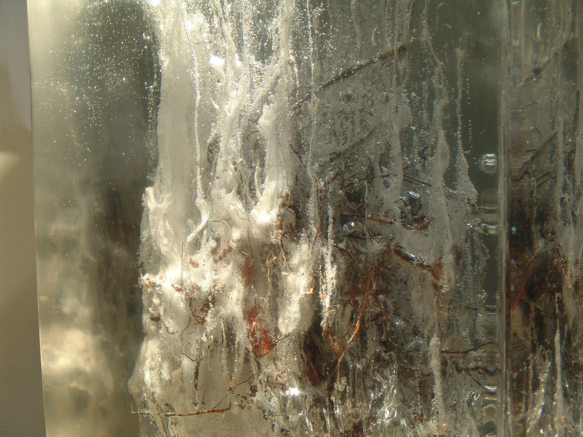 Detail of City Root #5