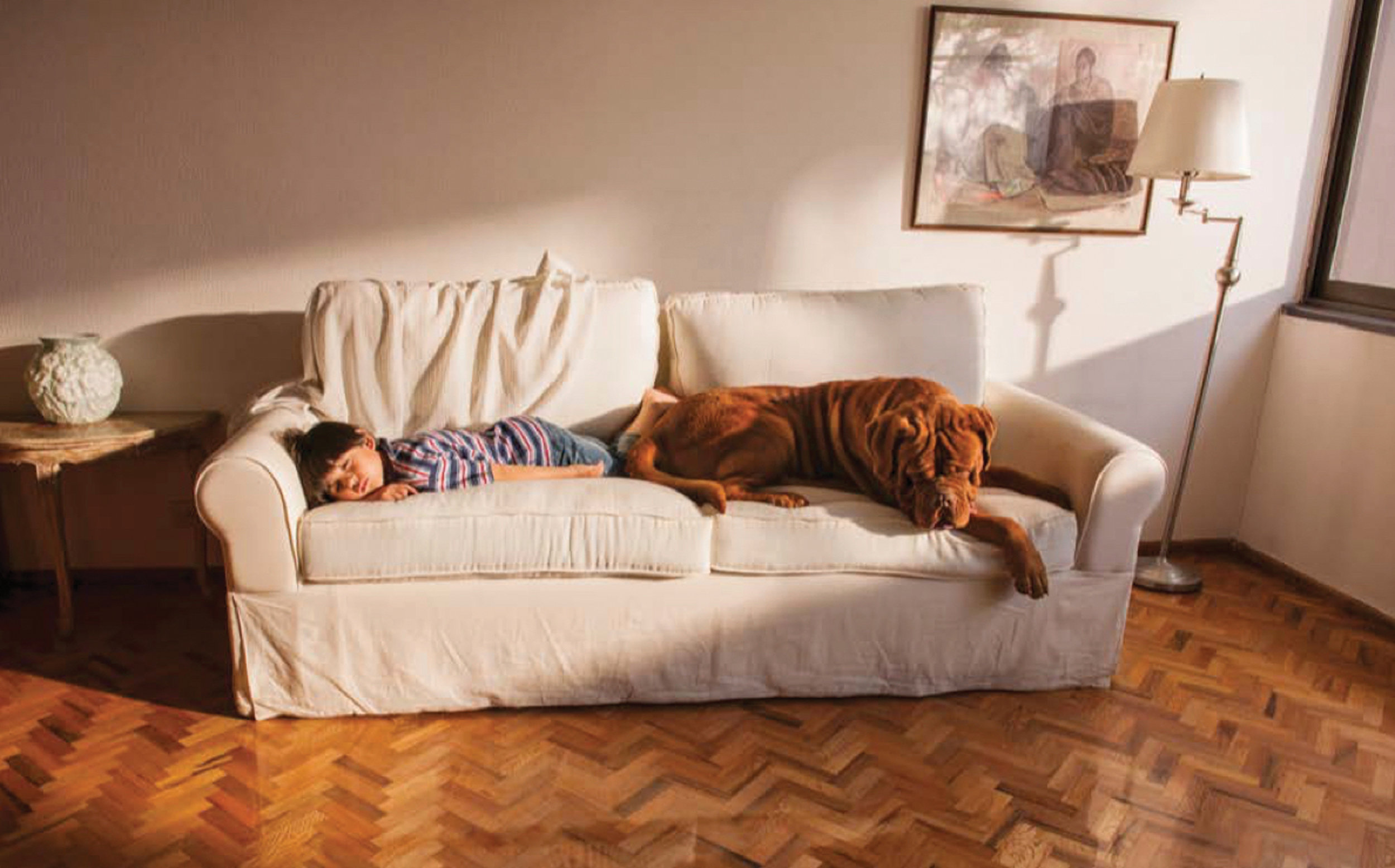 Sleeping Couch.jpg