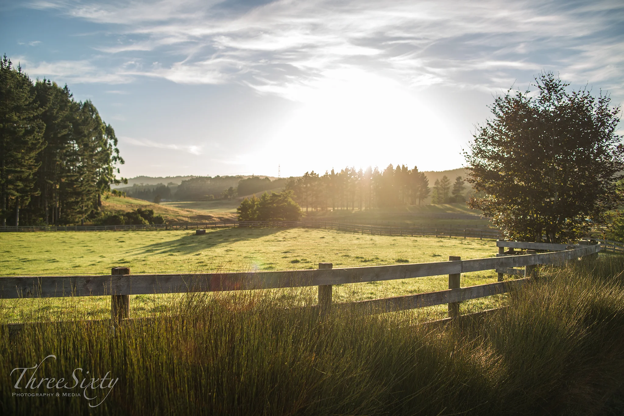 Morning light.
