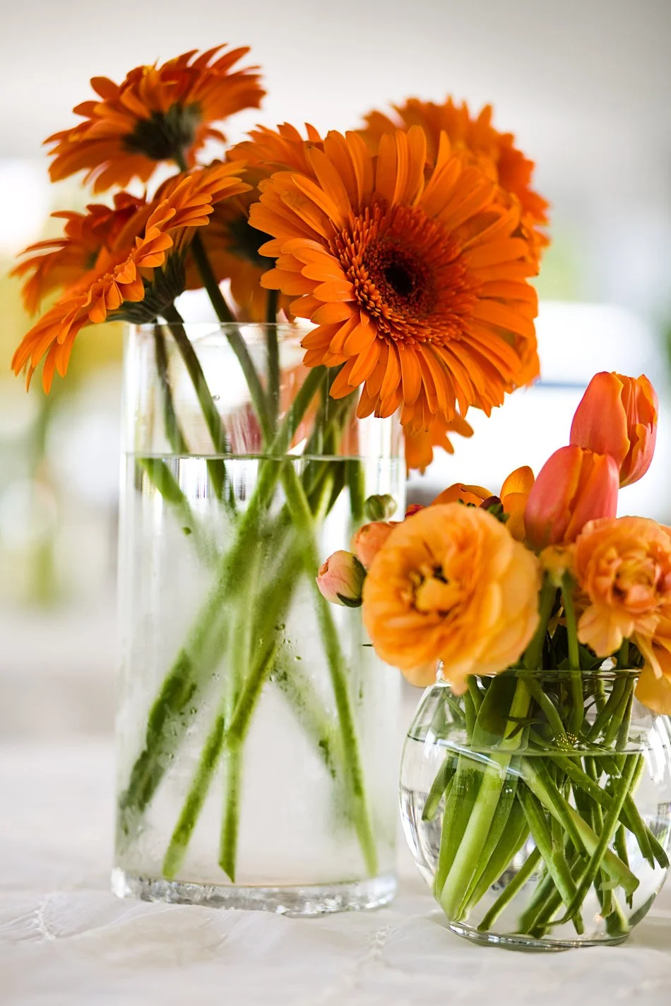 010-virginia_beach_wedding.jpg
