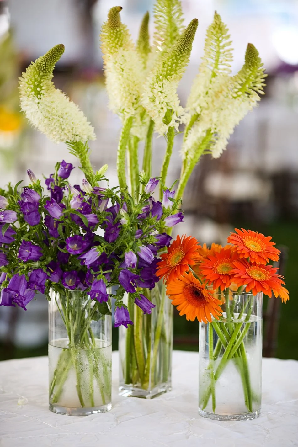 014-virginia_beach_wedding.jpg