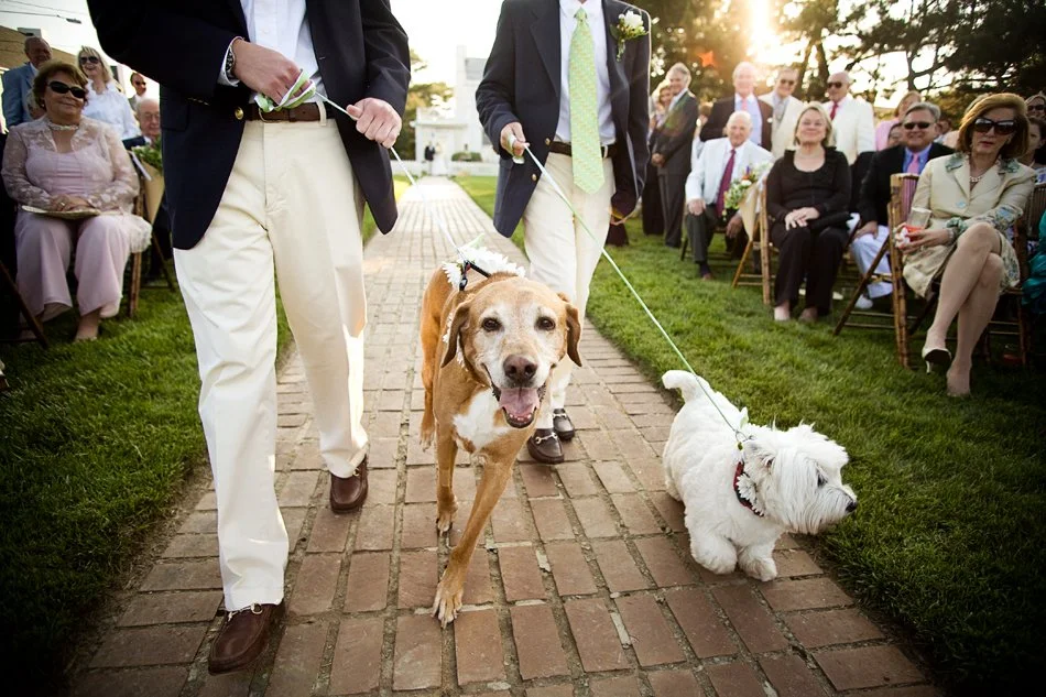 040-virginia_beach_wedding.jpg