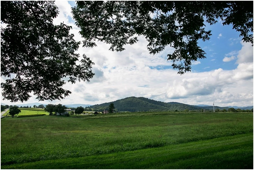 echard_wheeler_early_mountain_vineyards_00018.jpg