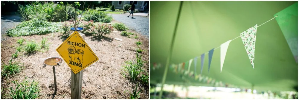 eastern_shore_backyard_wedding_00010.jpg