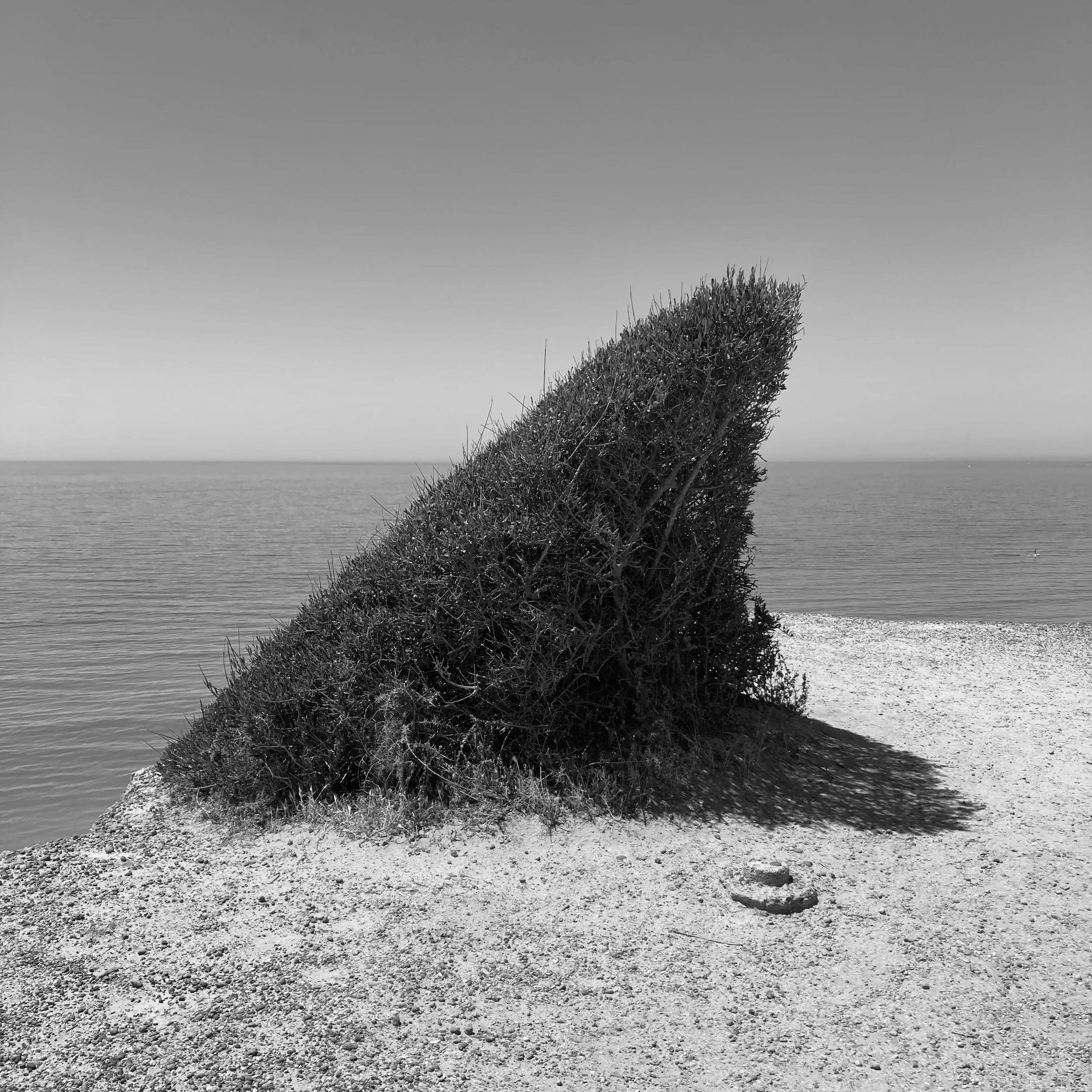echard-014.JPG