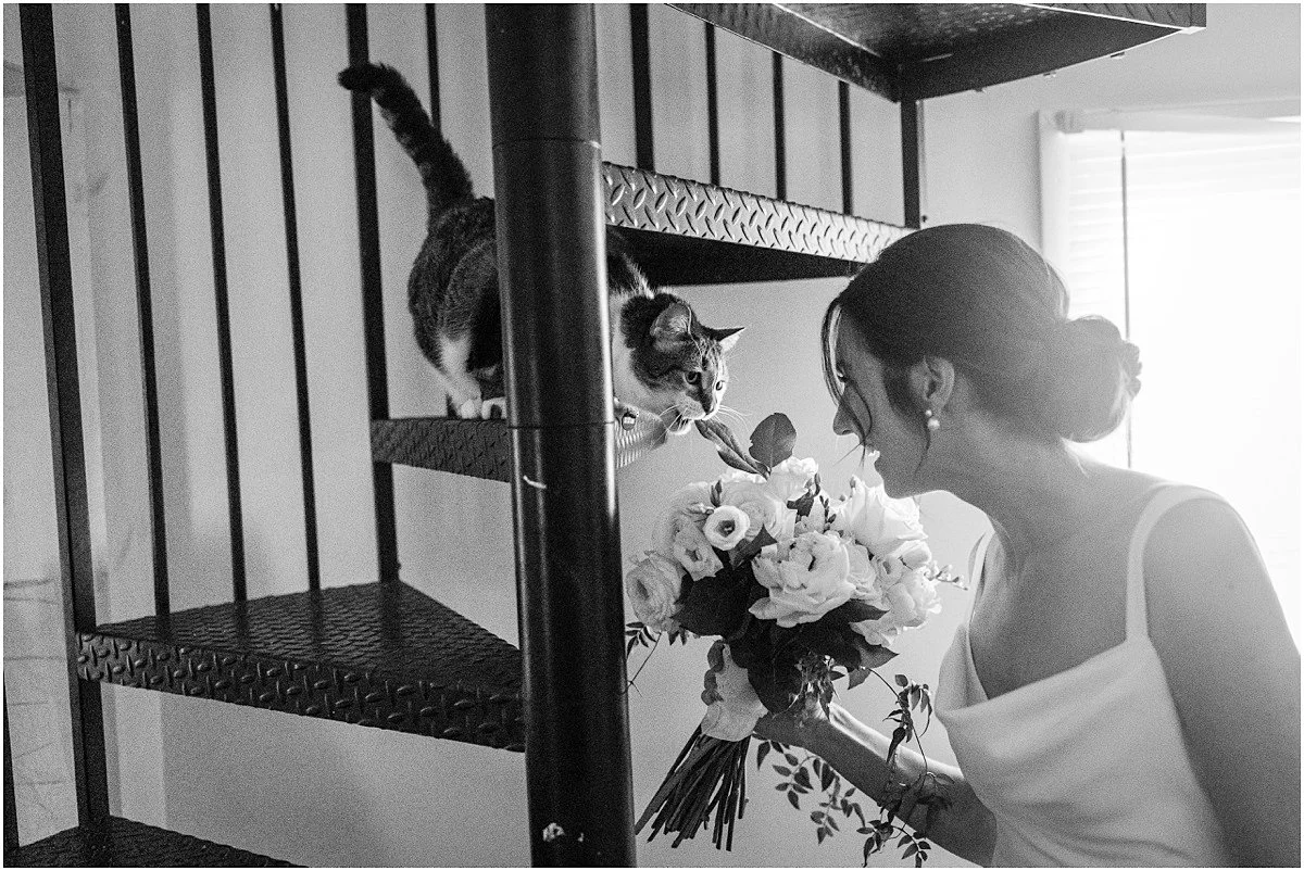 echard_wheeler_eastern_shore_wedding00061.jpg