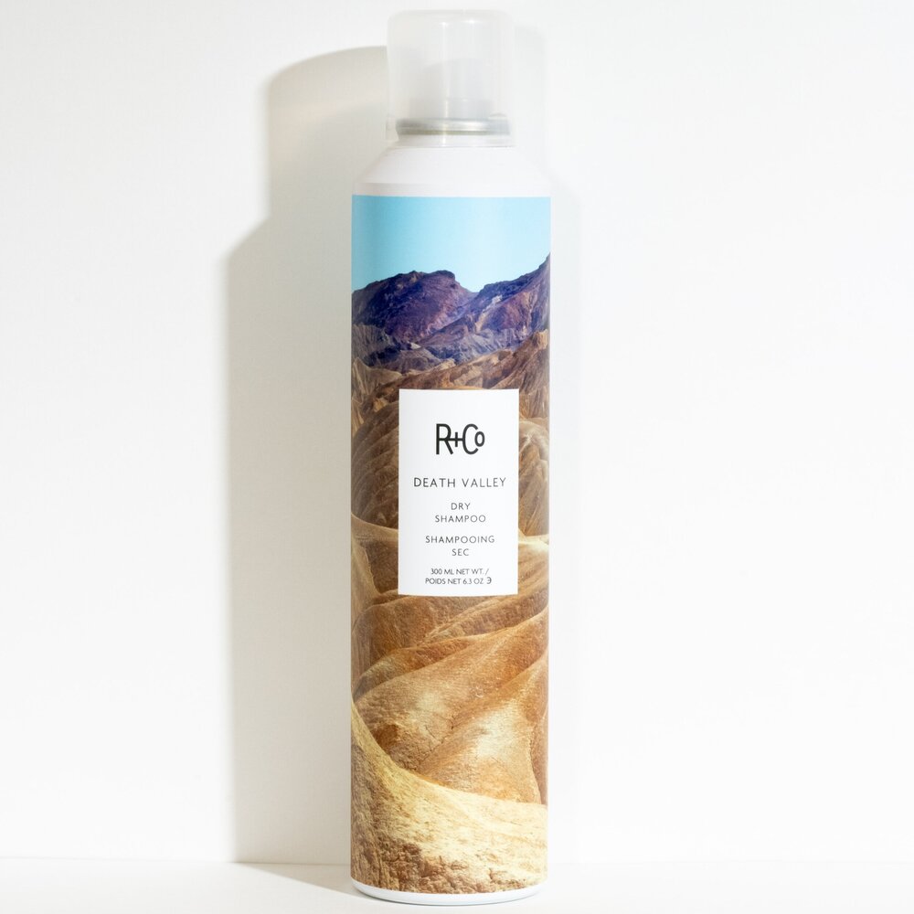 trug Først Omhyggelig læsning R+Co Death Valley Dry Shampoo — Flourish Beauty