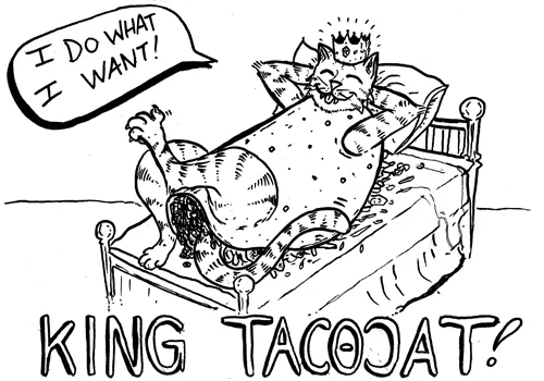 TacoCat does whatever the fuck he wants! KING TACOCAT!!
Another tasty kitty served up fresh from The Request Line