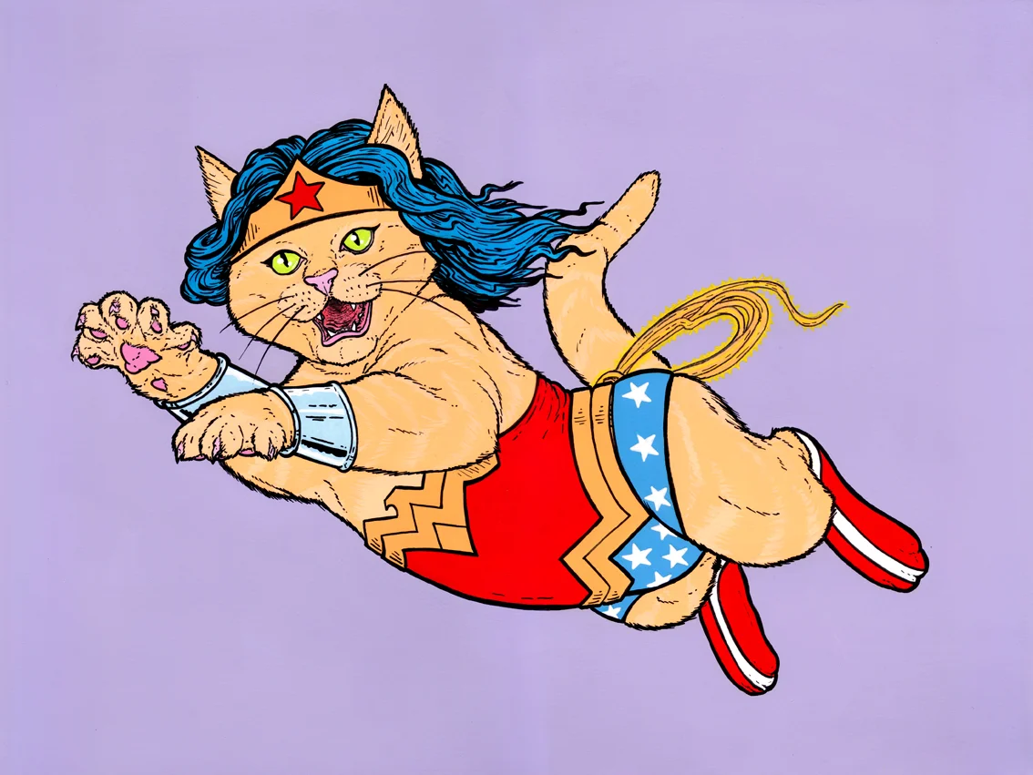Wonder Woman Cat