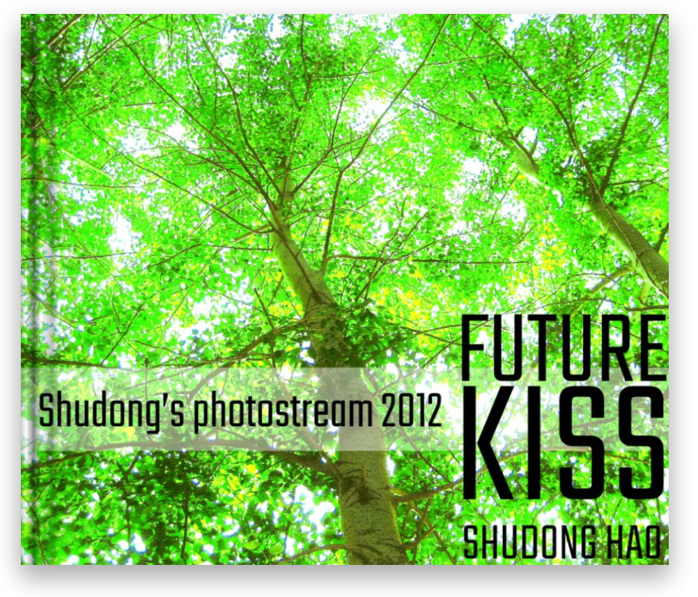 FUTURE KISS (2012) (Copy)