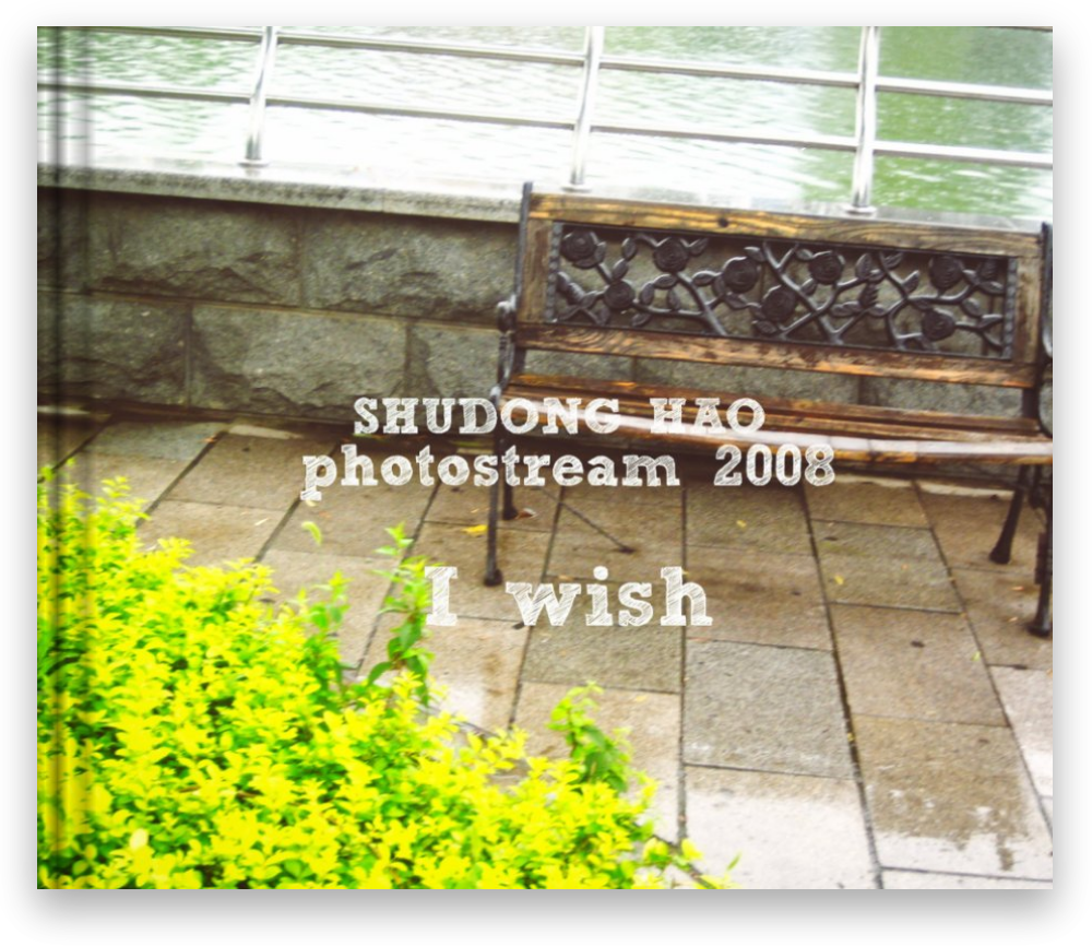 I wish (2008) (Copy)