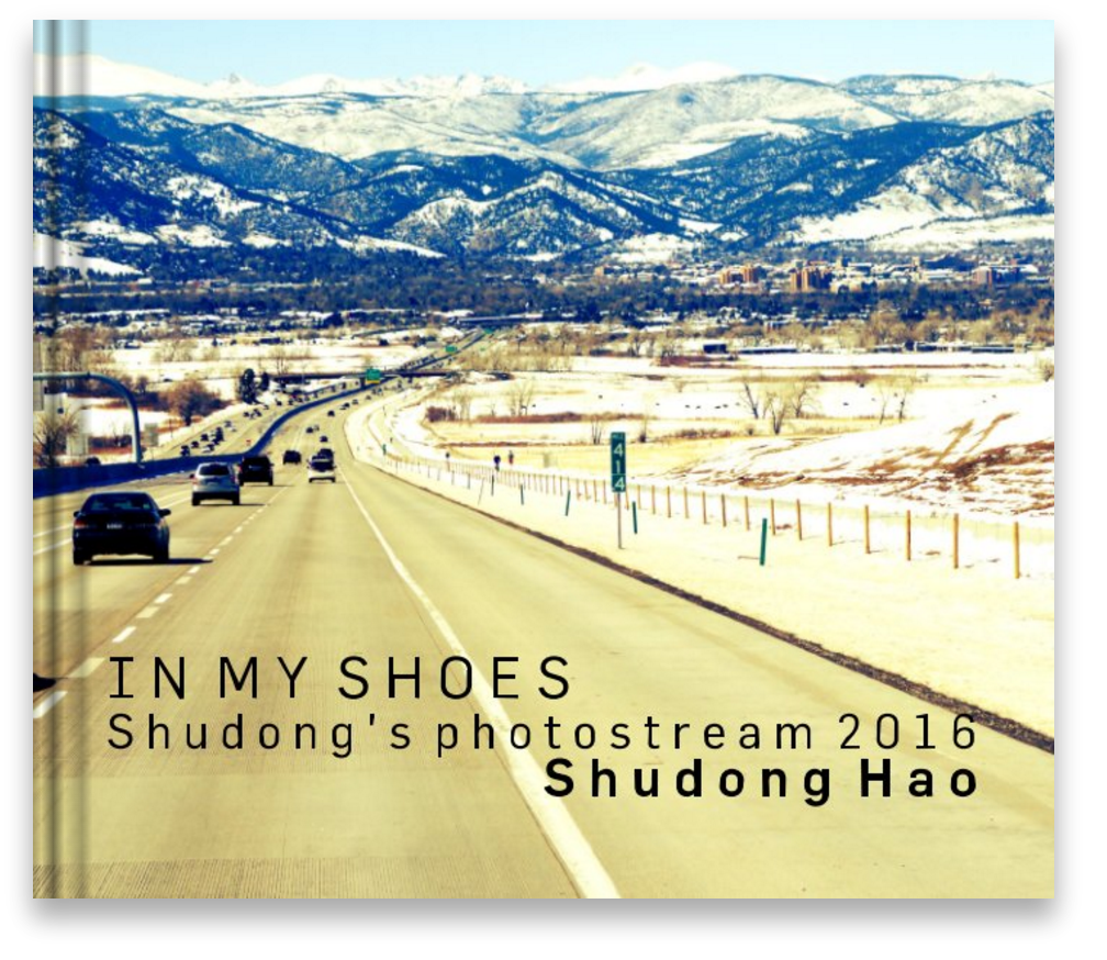 IN MY SHOES (2016) (Copy)