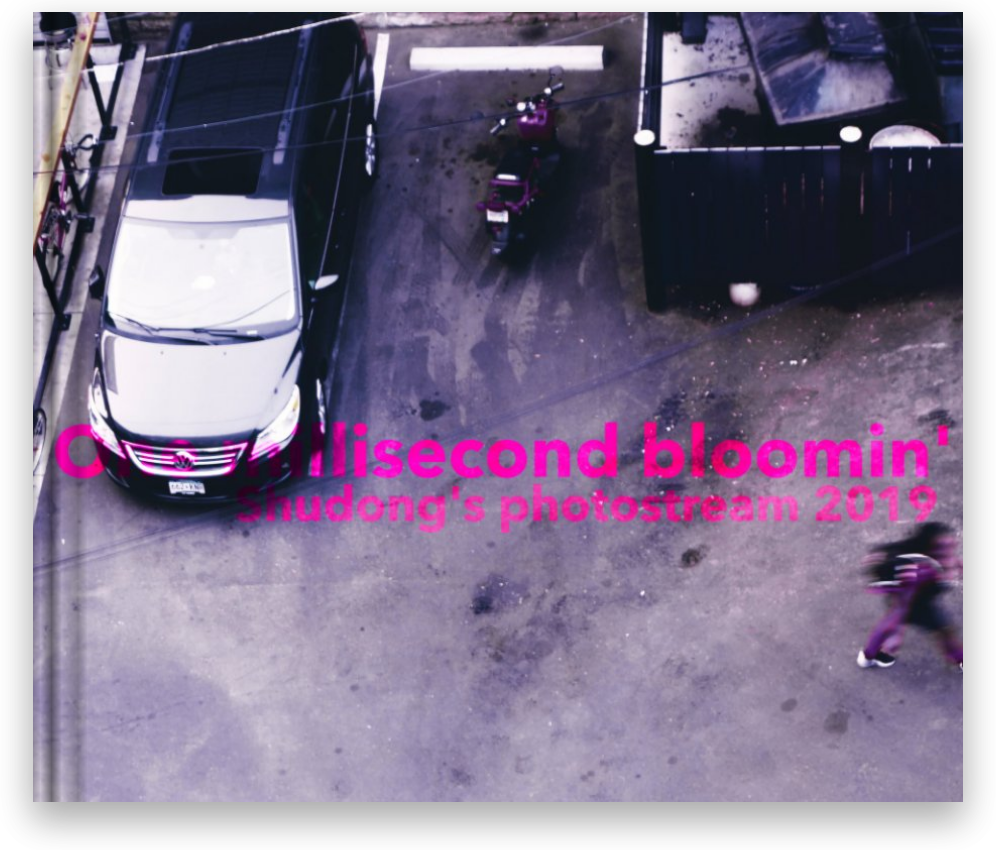 One millisecond bloomin' (2019) (Copy)