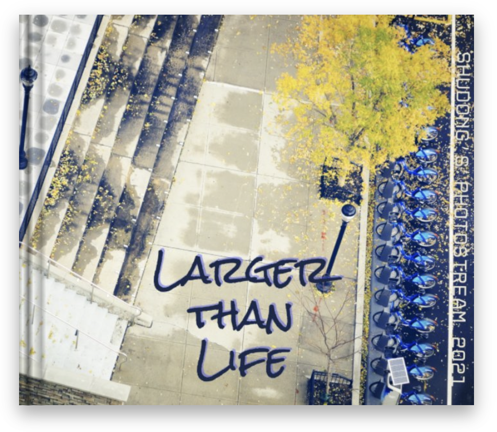 Larger than Life (2021) (Copy)