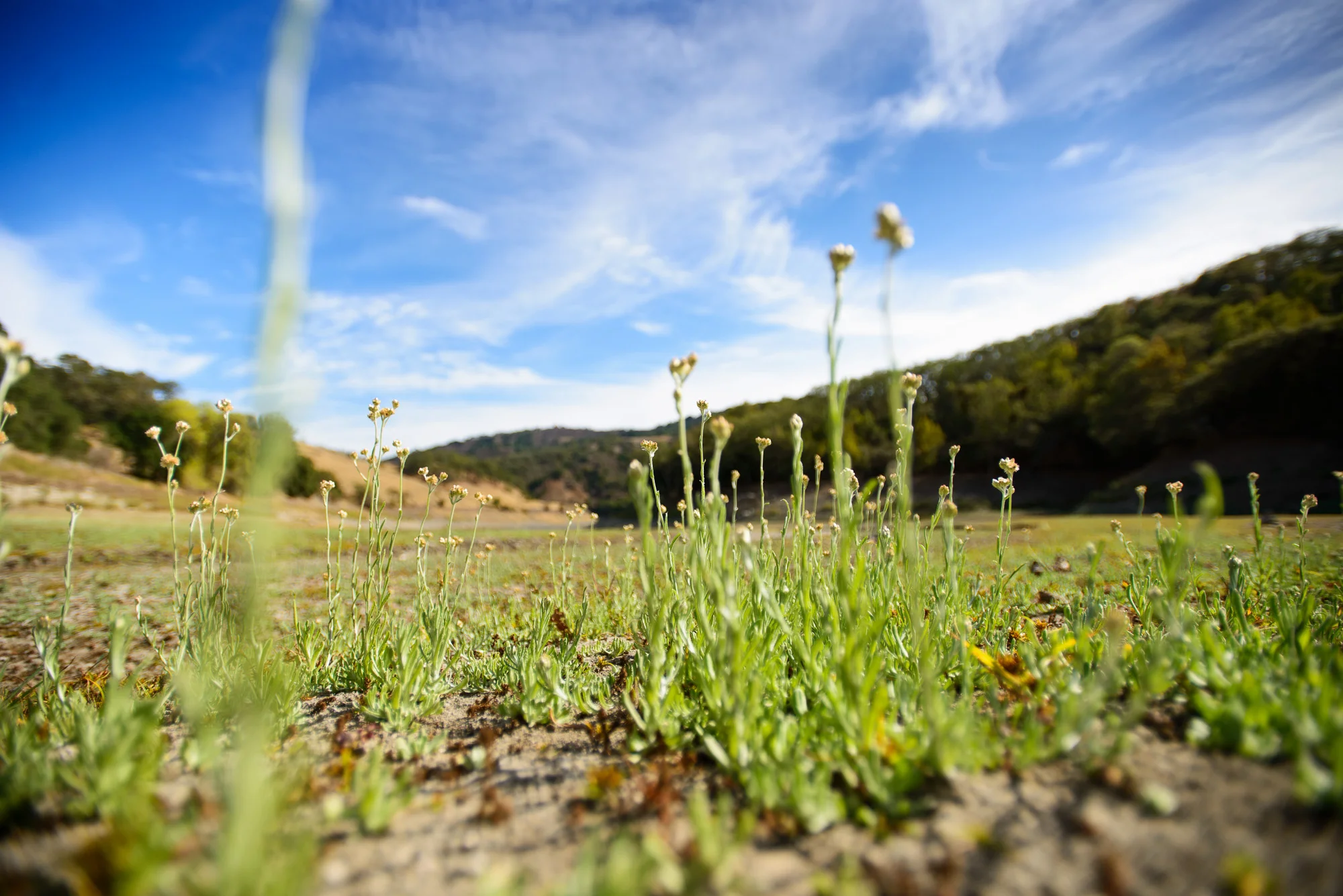almaden_reservoir_lake_bed_brittany_app.jpg