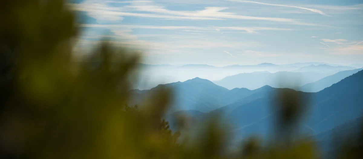 landscape_cerro_alto_crop.jpg