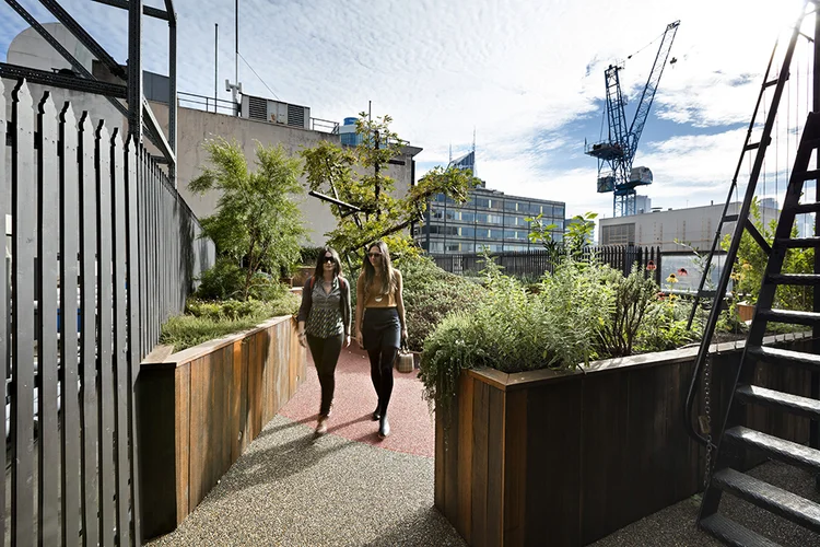 Growing Up Green Roof | Project Overview | Bent Architecture