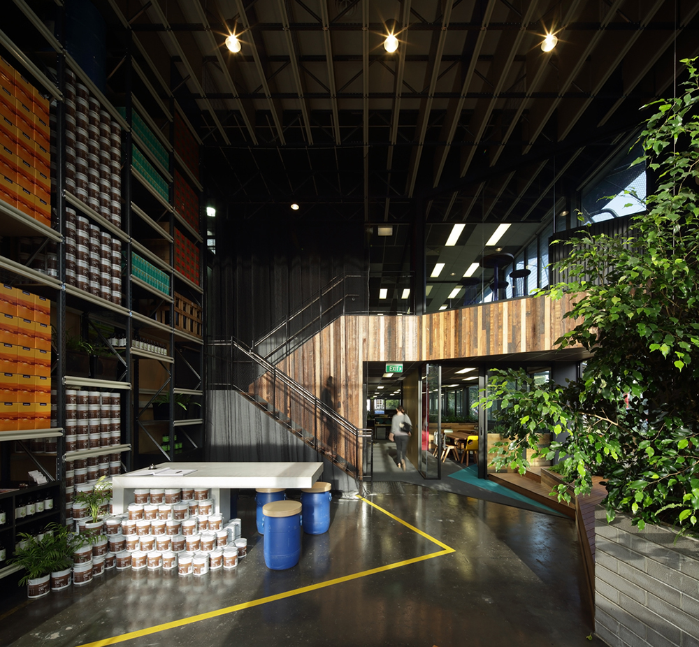 Greenery and health products collide to reinforce Melrose Health's values as a health-conscious company.