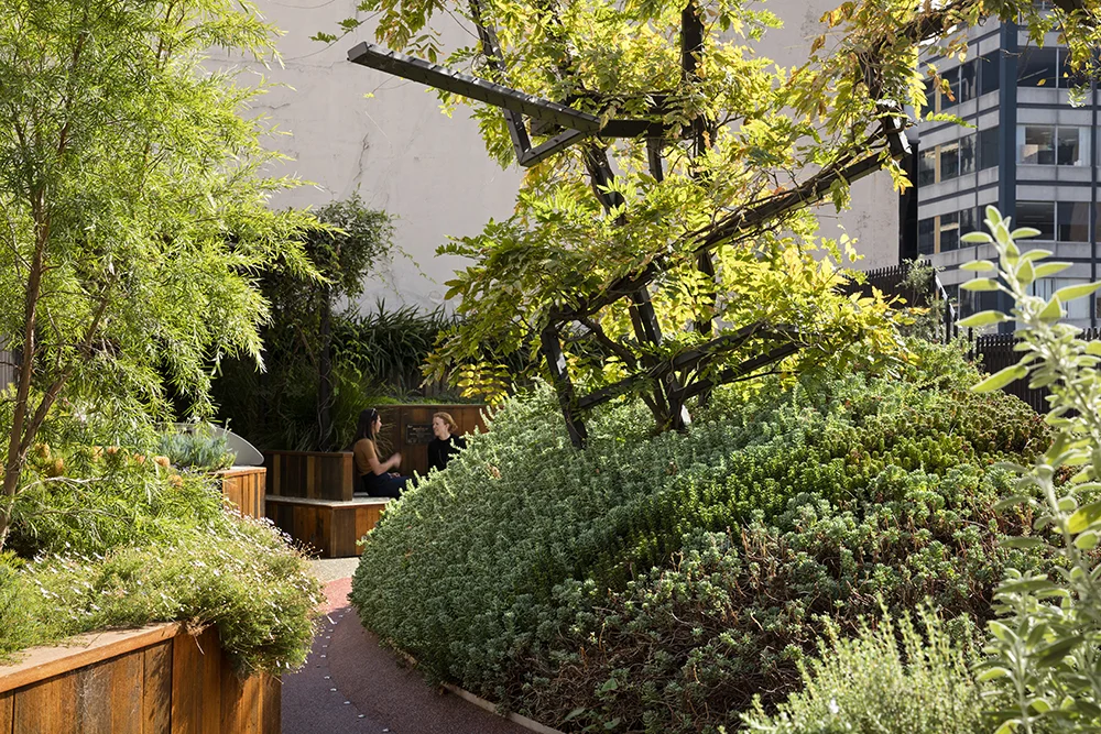 Urban rooftop gardens are a fantastic way to incorporate functional greenery into our cities.